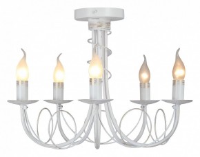 Люстра на штанге Vitaluce V3035 V3035-0/5PL в Лабытнанги - labytnangi.ok-mebel.com | фото 2