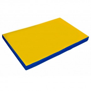 Мат гимнастический 2х1х0,05м цв. синий-желтый в Лабытнанги - labytnangi.ok-mebel.com | фото