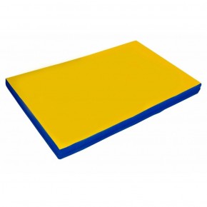 Мат гимнастический, прямоугольный. Длина 2 м, ширина 1 м, толщина 8 см синий-желтый   в Лабытнанги - labytnangi.ok-mebel.com | фото