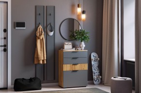 МЕБЕЛЬСОН К21 Прихожая в Лабытнанги - labytnangi.ok-mebel.com | фото 2