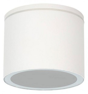 Накладной светильник Arte Lamp Piautos A1913PF-1WH в Лабытнанги - labytnangi.ok-mebel.com | фото