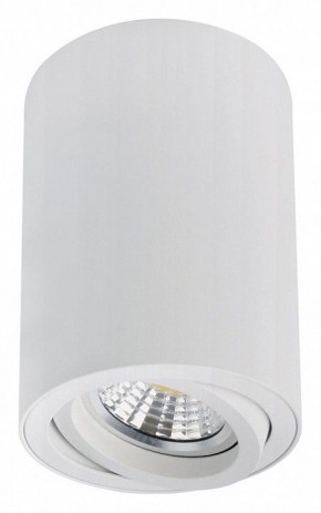 Накладной светильник Arte Lamp Sentry A1566PL-1WH в Лабытнанги - labytnangi.ok-mebel.com | фото