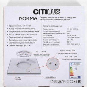 Накладной светильник Citilux Norma CL748K301 в Лабытнанги - labytnangi.ok-mebel.com | фото 8