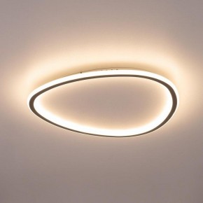 Накладной светильник Citilux ТRIO CL215B251E в Лабытнанги - labytnangi.ok-mebel.com | фото 9