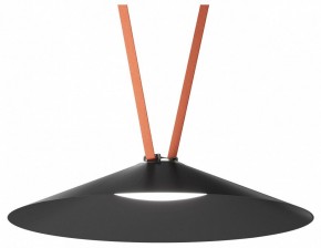 Накладной светильник Denkirs Belty Flow DK5568-BK в Лабытнанги - labytnangi.ok-mebel.com | фото 2