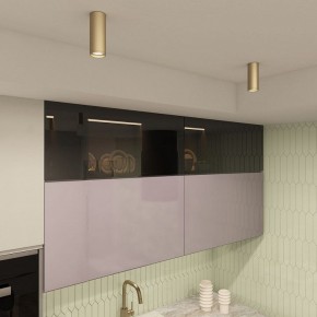 Накладной светильник Denkirs TUBE DK2051-SG в Лабытнанги - labytnangi.ok-mebel.com | фото 4