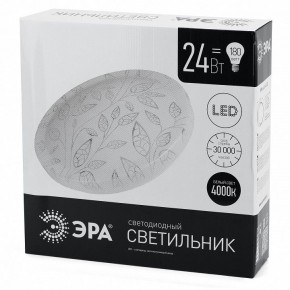 Накладной светильник Эра Классик SPB-6-24-4K (C) в Лабытнанги - labytnangi.ok-mebel.com | фото 4