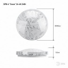 Накладной светильник Эра Классик SPB-6-24-4K (C) в Лабытнанги - labytnangi.ok-mebel.com | фото 6