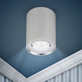 Накладной светильник Эра  OL1 GU10 SL/CH в Лабытнанги - labytnangi.ok-mebel.com | фото 3