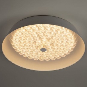 Накладной светильник Эра  SPB-6-60-RC Locus RGB в Лабытнанги - labytnangi.ok-mebel.com | фото 6