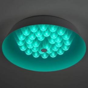 Накладной светильник Эра  SPB-6-80-RC Locus RGB в Лабытнанги - labytnangi.ok-mebel.com | фото 7