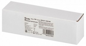 Накладной светильник Эра  TRM-S5-1-6W4K-BK в Лабытнанги - labytnangi.ok-mebel.com | фото 6