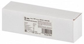 Накладной светильник Эра  TRM-S5-1-6W4K-WH в Лабытнанги - labytnangi.ok-mebel.com | фото 6