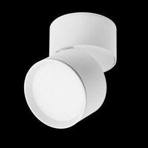 Накладной светильник Lightstar Acuto 215836 в Лабытнанги - labytnangi.ok-mebel.com | фото 3