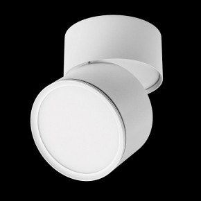 Накладной светильник Lightstar Acuto 215886 в Лабытнанги - labytnangi.ok-mebel.com | фото 2