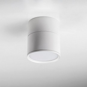 Накладной светильник Lightstar Acuto 215886 в Лабытнанги - labytnangi.ok-mebel.com | фото 3