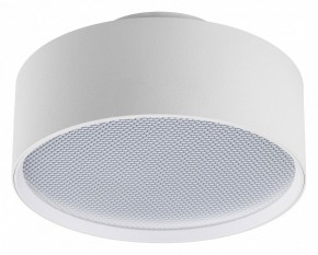 Накладной светильник Lightstar Acuto 215936 в Лабытнанги - labytnangi.ok-mebel.com | фото