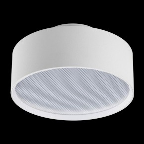 Накладной светильник Lightstar Acuto 215936 в Лабытнанги - labytnangi.ok-mebel.com | фото 3