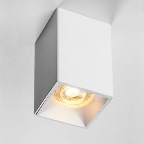 Накладной светильник Lightstar Rullo 213336 в Лабытнанги - labytnangi.ok-mebel.com | фото 2