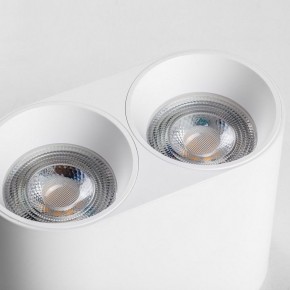 Накладной светильник Lightstar Rullo 213466 в Лабытнанги - labytnangi.ok-mebel.com | фото 6