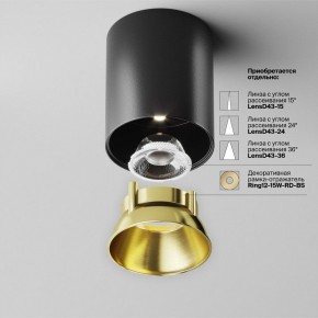 Накладной светильник Maytoni Alfa LED C064CL-12W4K-RD-B в Лабытнанги - labytnangi.ok-mebel.com | фото 3