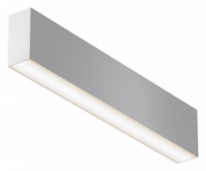 Накладной светильник Maytoni Basis C068CL-20W3-6K-W в Лабытнанги - labytnangi.ok-mebel.com | фото