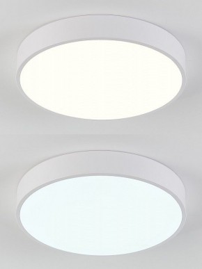 Накладной светильник Natali Kovaltseva  LED LAMPS 81111/5C в Лабытнанги - labytnangi.ok-mebel.com | фото 4