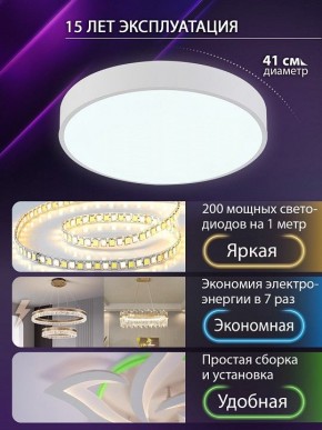 Накладной светильник Natali Kovaltseva  LED LAMPS 81111/5C в Лабытнанги - labytnangi.ok-mebel.com | фото 5