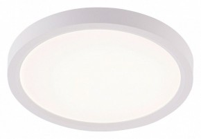 Накладной светильник Natali Kovaltseva PLAIN LED LAMPS 81113/1C в Лабытнанги - labytnangi.ok-mebel.com | фото