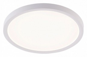 Накладной светильник Natali Kovaltseva PLAIN LED LAMPS 81113/2C в Лабытнанги - labytnangi.ok-mebel.com | фото