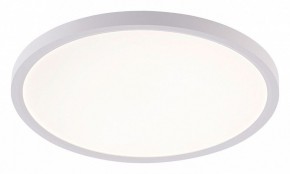 Накладной светильник Natali Kovaltseva PLAIN LED LAMPS 81113/3C в Лабытнанги - labytnangi.ok-mebel.com | фото