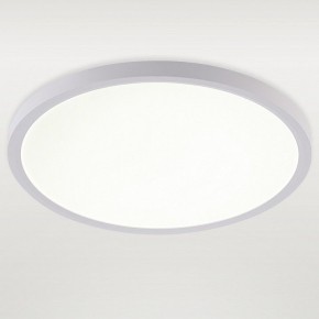 Накладной светильник Natali Kovaltseva PLAIN LED LAMPS 81113/3C в Лабытнанги - labytnangi.ok-mebel.com | фото 2