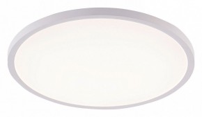 Накладной светильник Natali Kovaltseva PLAIN LED LAMPS 81113/5C в Лабытнанги - labytnangi.ok-mebel.com | фото