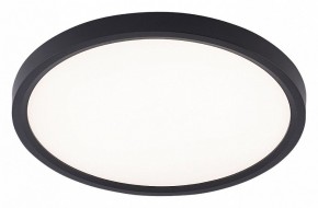 Накладной светильник Natali Kovaltseva PLAIN LED LAMPS 81114/2C в Лабытнанги - labytnangi.ok-mebel.com | фото