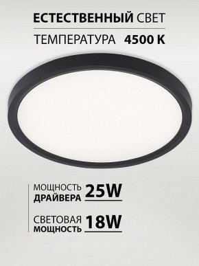 Накладной светильник Natali Kovaltseva PLAIN LED LAMPS 81114/2C в Лабытнанги - labytnangi.ok-mebel.com | фото 3