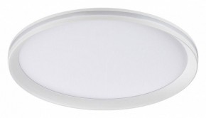 Накладной светильник Sonex Beta 7749/60L в Лабытнанги - labytnangi.ok-mebel.com | фото