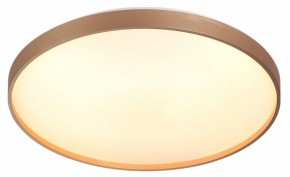 Накладной светильник Sonex Gaby 7783/EL в Лабытнанги - labytnangi.ok-mebel.com | фото 5