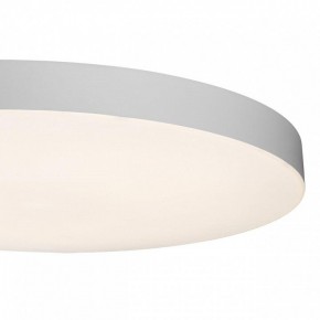 Накладной светильник Sonex Gamma 7759/36L в Лабытнанги - labytnangi.ok-mebel.com | фото 7