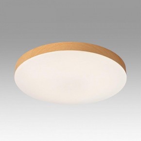 Накладной светильник Sonex Gamma 7761/24L в Лабытнанги - labytnangi.ok-mebel.com | фото 3