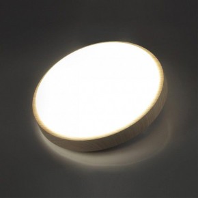 Накладной светильник Sonex Losta 7607/AL в Лабытнанги - labytnangi.ok-mebel.com | фото 3