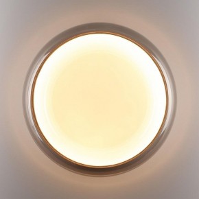 Накладной светильник Sonex PORTMAN 7777/DLN в Лабытнанги - labytnangi.ok-mebel.com | фото 6
