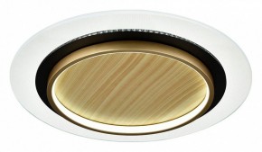 Накладной светильник Sonex Sunny 7731/80L в Лабытнанги - labytnangi.ok-mebel.com | фото