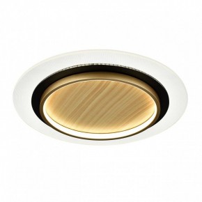 Накладной светильник Sonex Sunny 7731/80L в Лабытнанги - labytnangi.ok-mebel.com | фото 4