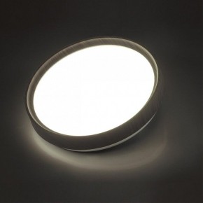 Накладной светильник Sonex Woodi 7627/CL в Лабытнанги - labytnangi.ok-mebel.com | фото 3