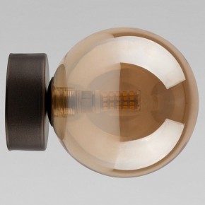 Накладной светильник TK Lighting Estera 10256 Estera в Лабытнанги - labytnangi.ok-mebel.com | фото