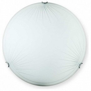 Накладной светильник TopLight Wifa TL9142Y-00WH в Лабытнанги - labytnangi.ok-mebel.com | фото