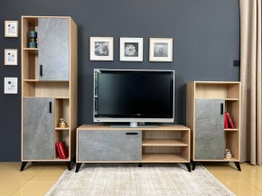 ОСКАР TRIO Гостиная (дуб золотой/каспий темный) в Лабытнанги - labytnangi.ok-mebel.com | фото 2