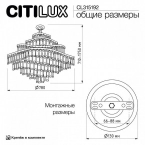 Подвесная люстра Citilux Naiad CL315192 в Лабытнанги - labytnangi.ok-mebel.com | фото 6