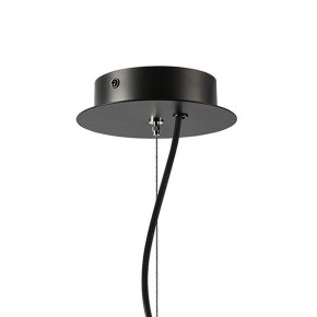 Подвесная люстра Lightstar Ragno 733187 в Лабытнанги - labytnangi.ok-mebel.com | фото 7