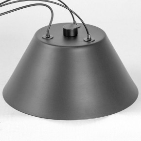 Подвесная люстра Lussole Hopkins LSP-7408 в Лабытнанги - labytnangi.ok-mebel.com | фото 7